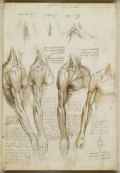 Other Manuscripts