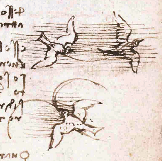 Codex-volo-uccelli